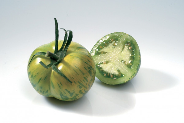 Grün-gestreifte Tomate 'Green Zebra' (Solanum lycopersicum 'Green Zebra')