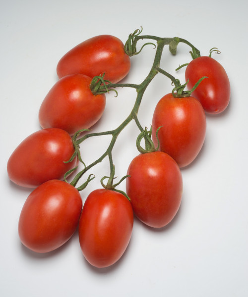 Ketchuptomate 'Atyliade F1' (Solanum lycopersicum 'Atyliade F1')