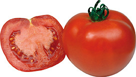 Normaltomate 'Previa F1' (Solanum lycopersicum 'Previa F1')