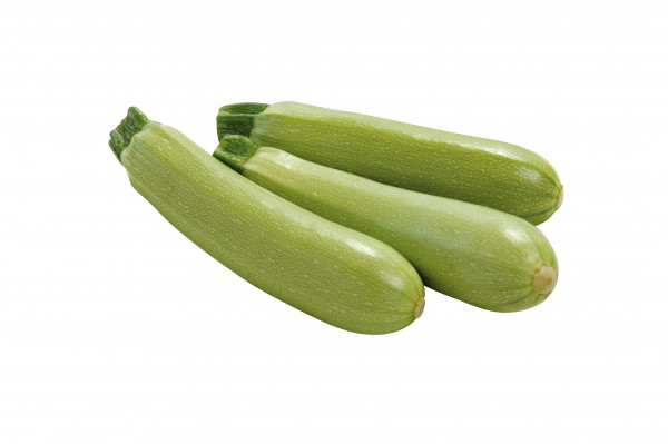 Grüne Zucchini 'Amalthee' (Cucurbita pepo var. Giromontiina 'Amalthee')